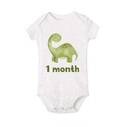 Body de dinosaurio para bebé – Diseño mensual para regalo de ducha