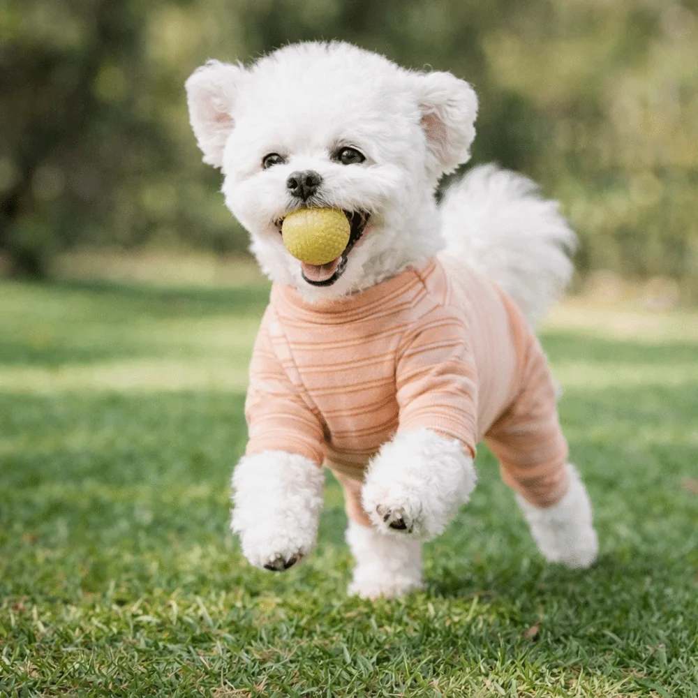Pijama de rayas suave para perros y gatos, cómodo y cálido - imagen 4