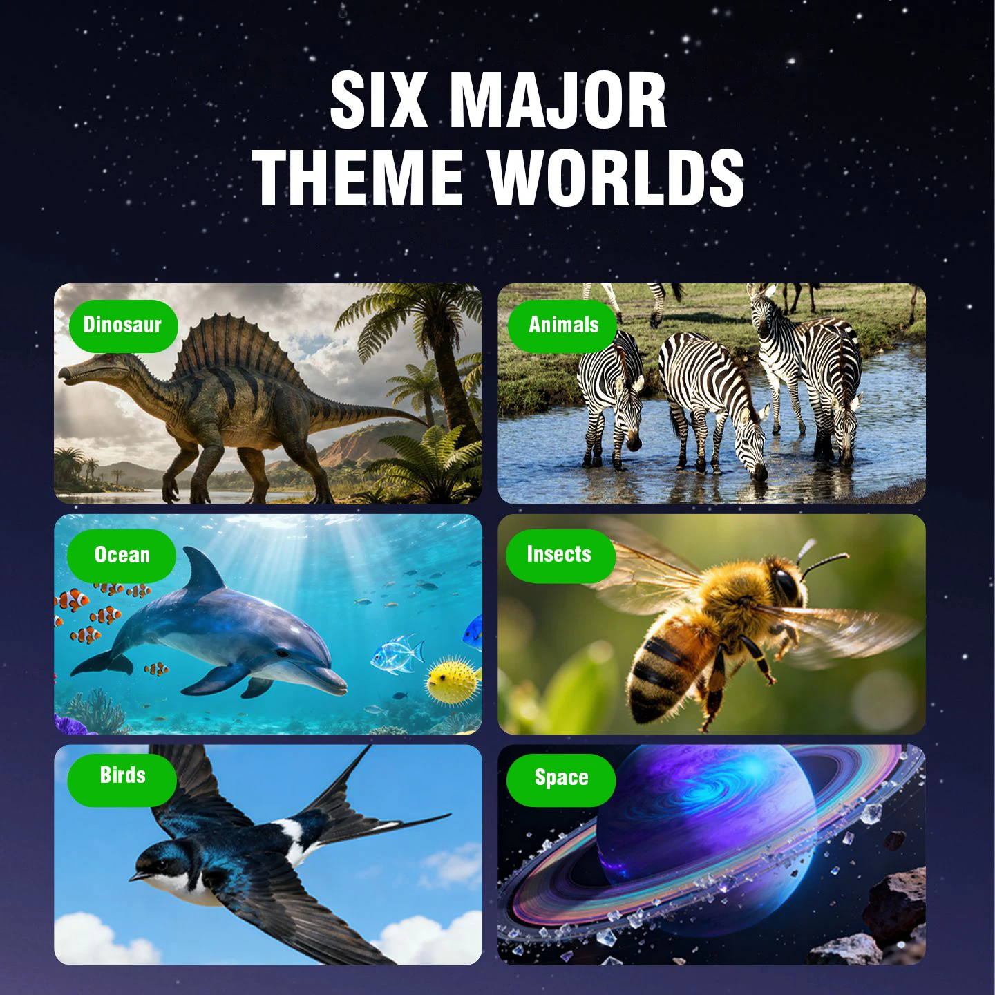 Binoculares estereoscópicos para niños con visor de animales científicos - imagen 4