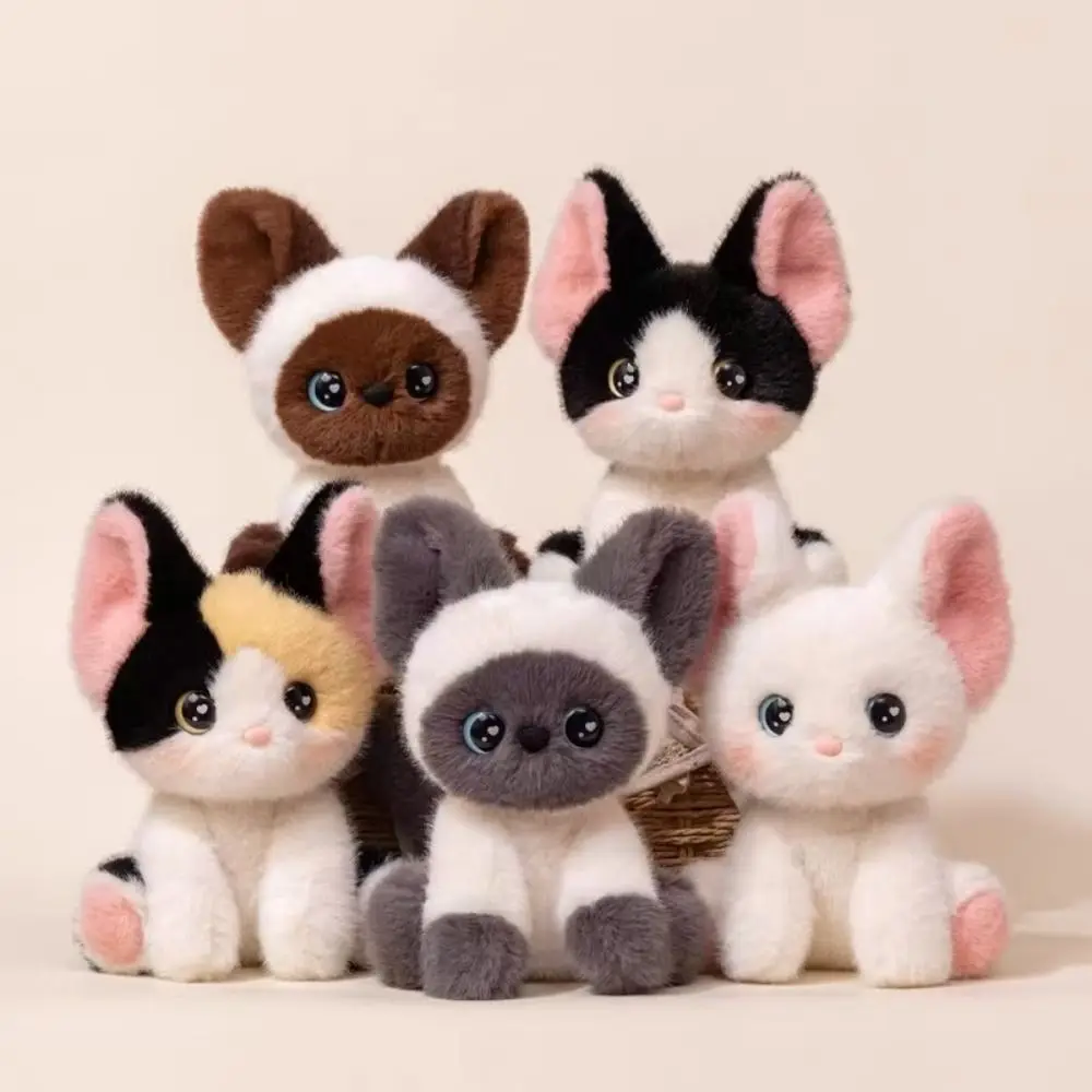Peluche de gato siamés Devon Rex sentado como adorno de escritorio - imagen 4