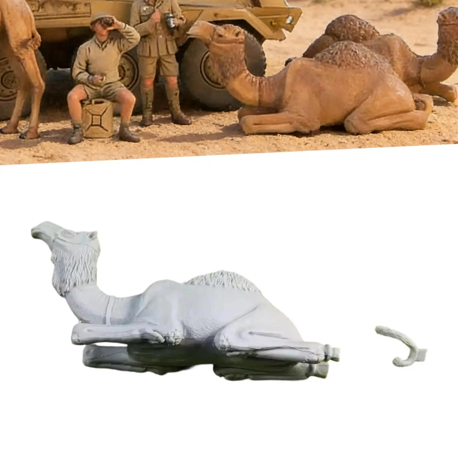 Miniatura de camello del desierto en resina para diorama - imagen 4