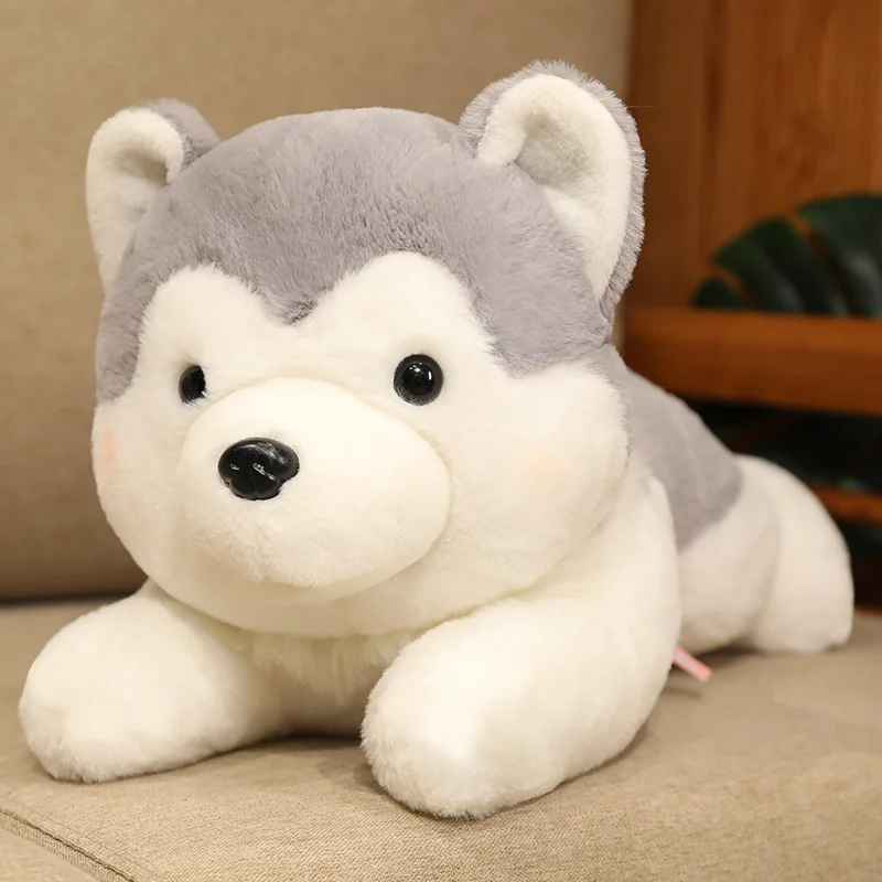 Peluche Husky en diferentes tamaños