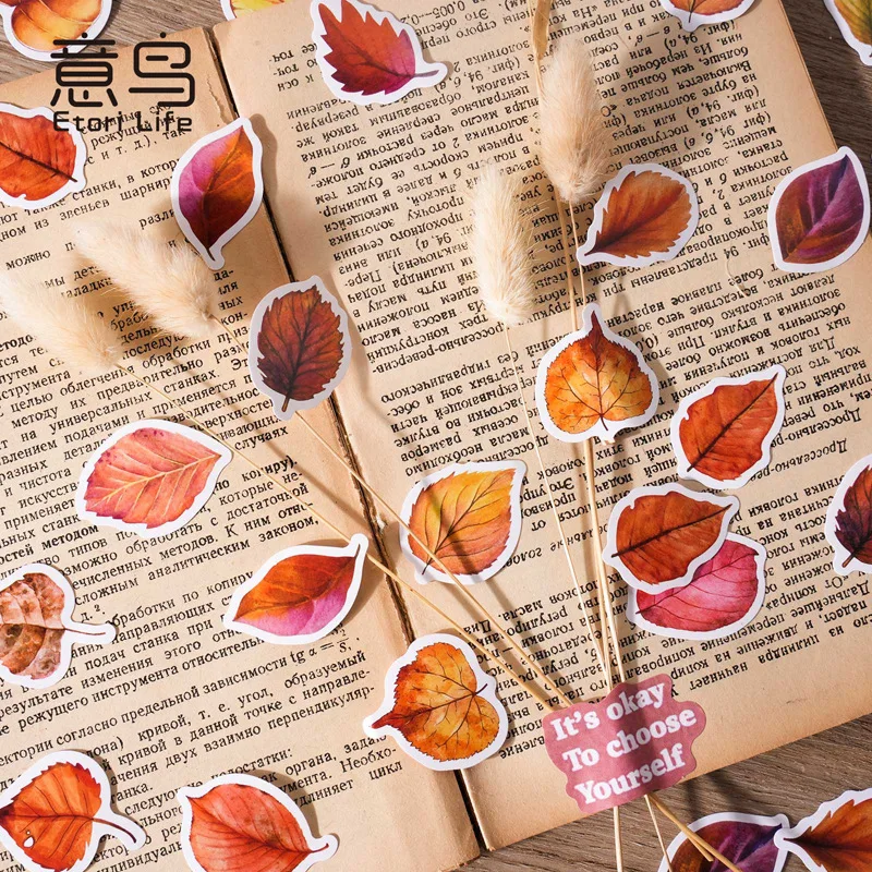 Pegatinas infantiles de hojas para álbumes y manualidades - imagen 2