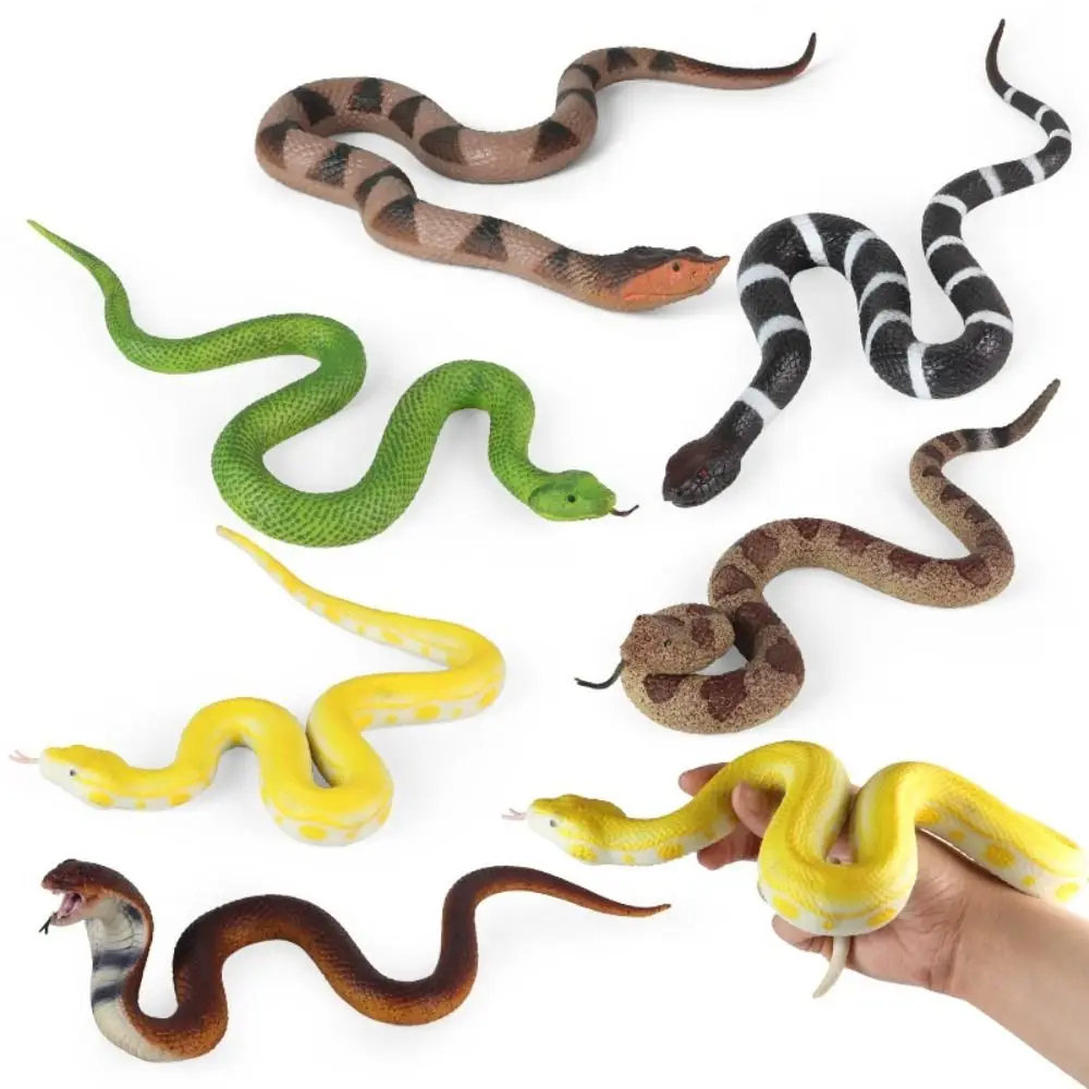 Figura de acción educativa serpientes reptil realista para Halloween - imagen 5