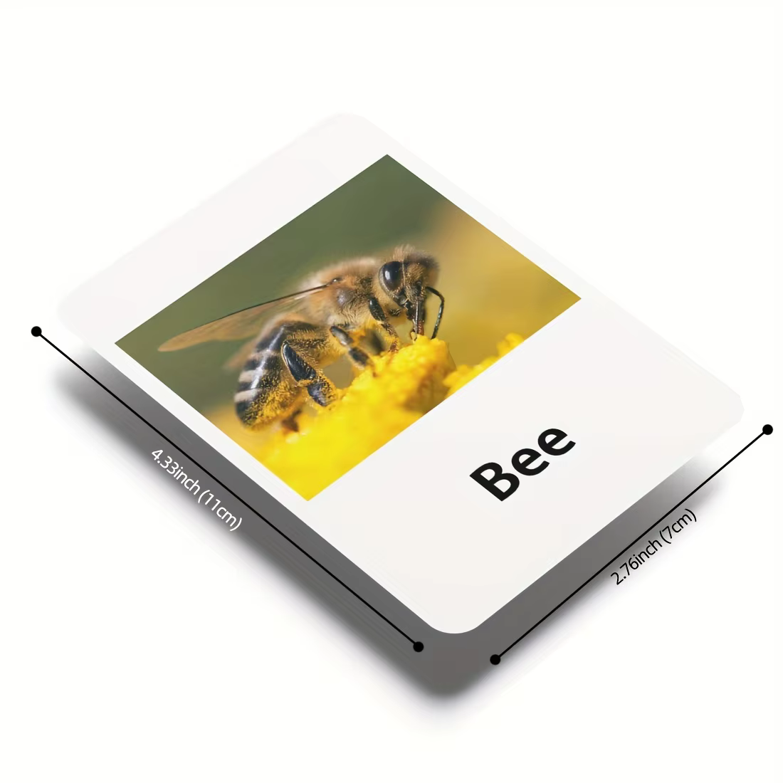 Set educativo para niños