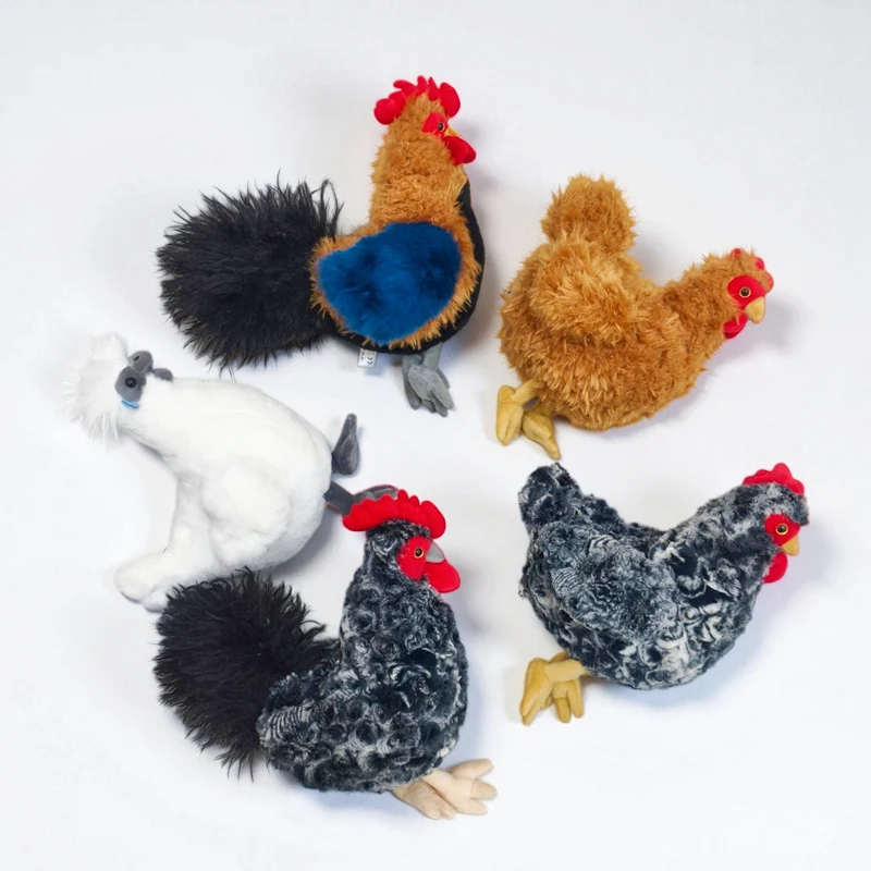 Diseño de gallina/gallo tipo caricatura