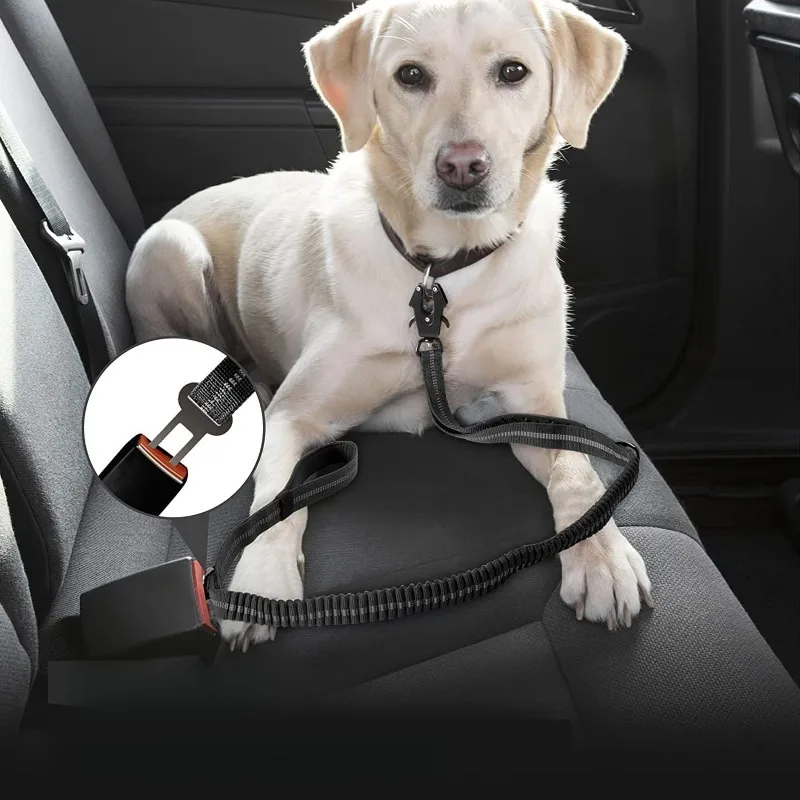 Correa para perros táctica resistente con hebilla de seguridad - imagen 2