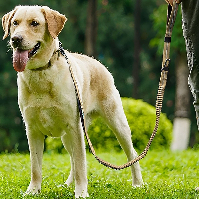 Correa táctica resistente para perros