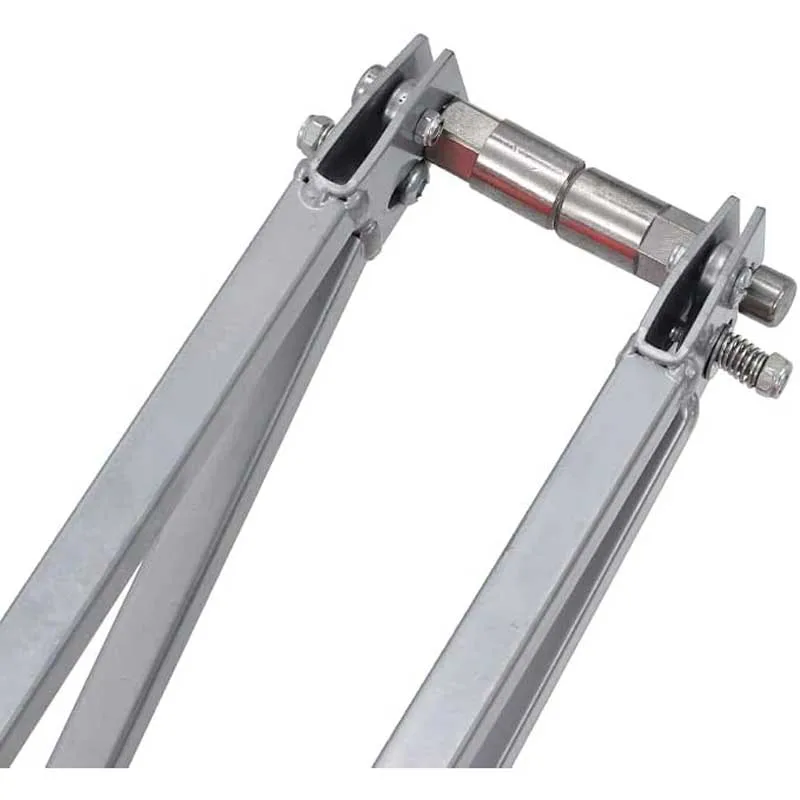 Remolque bicicleta de una sola rueda con neumático grande para acampar - imagen 3