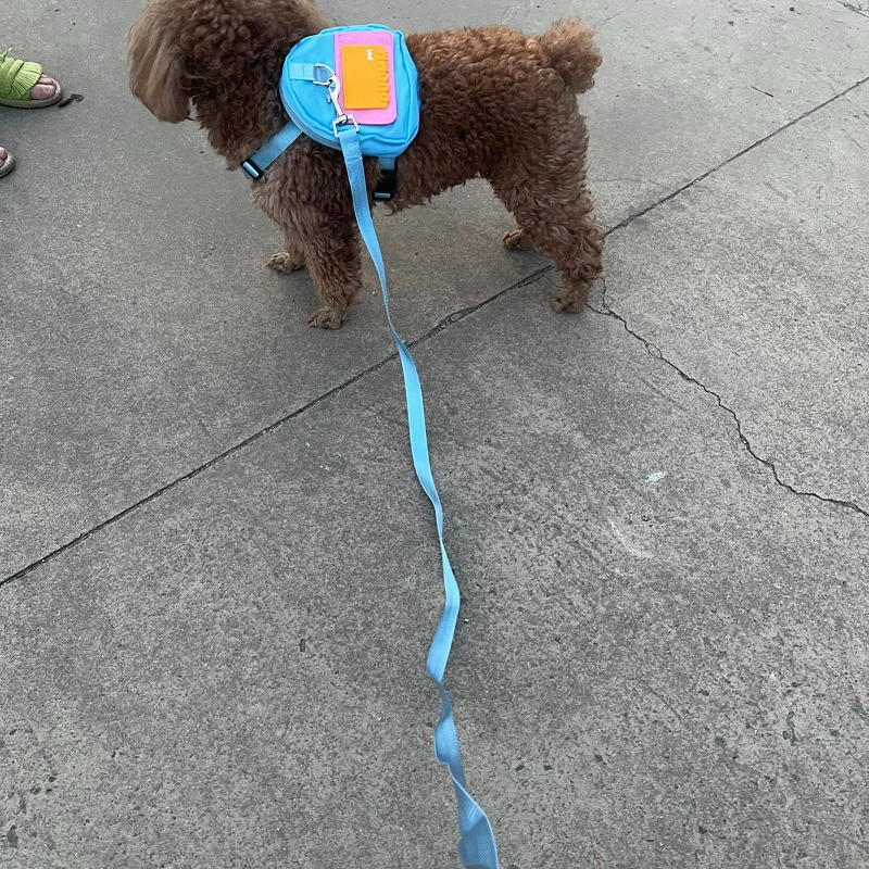 Set completo de accesorios para mascotas