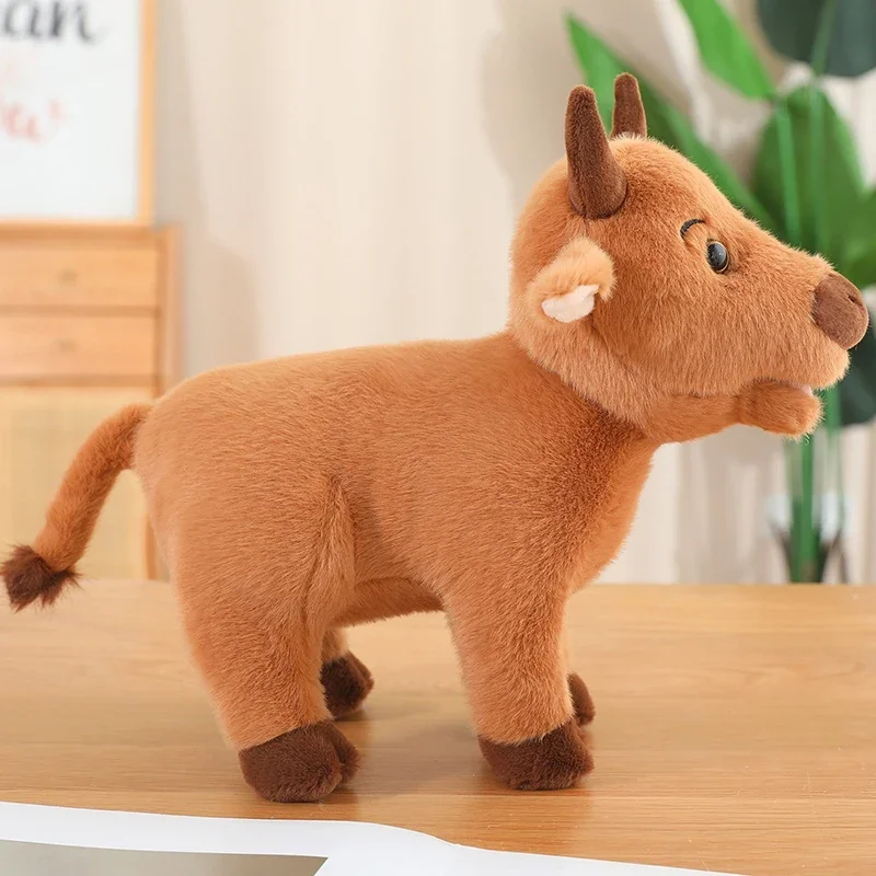 Presentación del peluche como opción de regalo