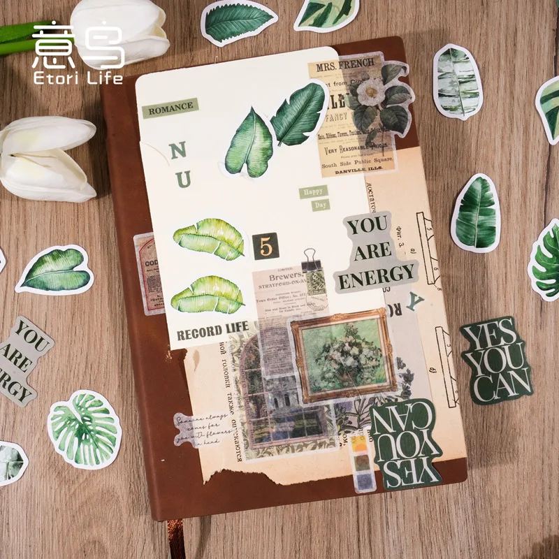 Pegatinas de hojas verdes autoadhesivas para álbumes y recortes - imagen 3