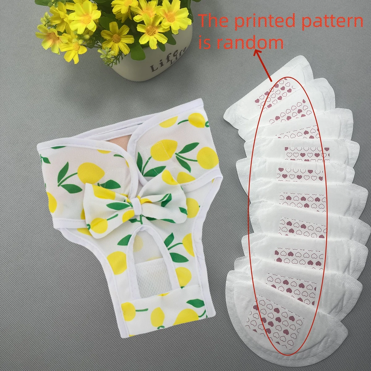 Pantalones fisiológicos lavables para perros – a prueba de fugas - imagen 4