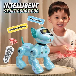 Robot RC con control por voz y perro acrobático pintado
