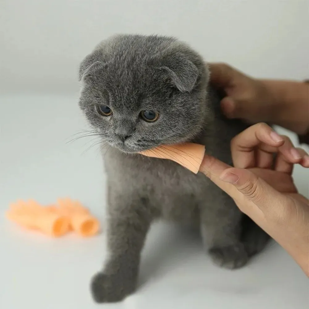 Juguete para gatos: marionetas de dedo resistentes a mordeduras - imagen 2