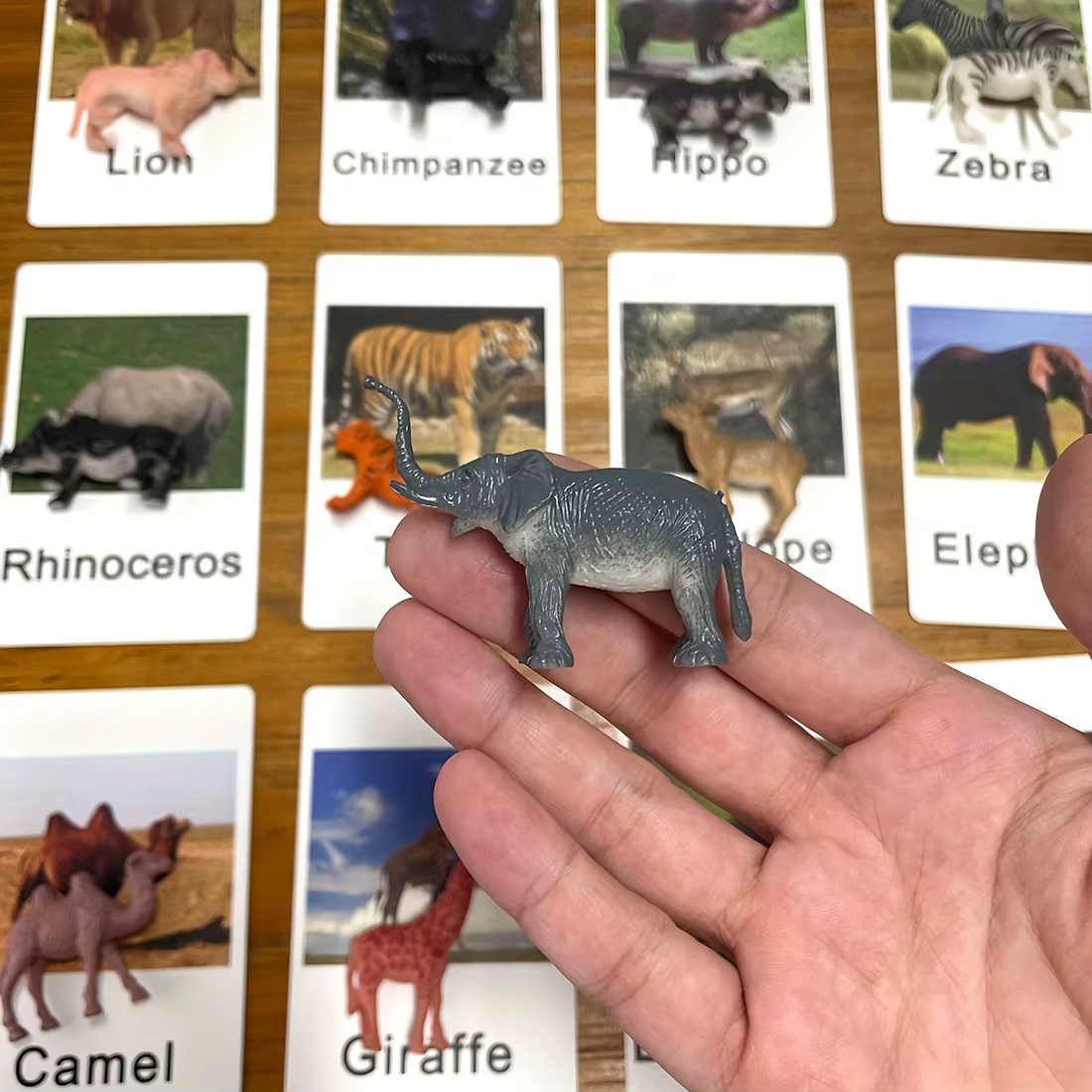 Tarjetas educativas para aprender idiomas