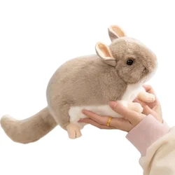 Peluche de chinchilla suave y realista para regalo infantil