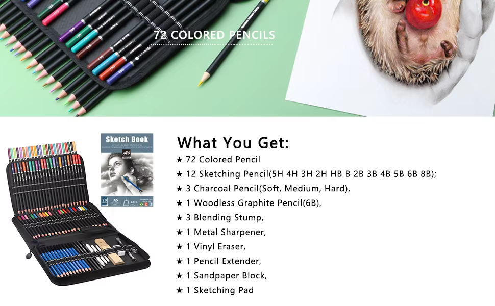 Kit de lápices de dibujo y carbón