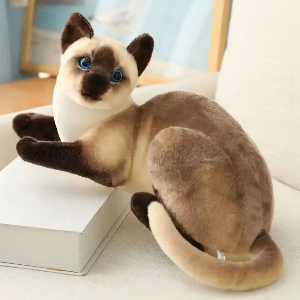 Almohada de peluche de gato, aspecto tierno