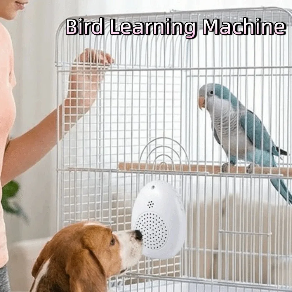 Juguete interactivo con grabación de aves y temporizador - imagen 3