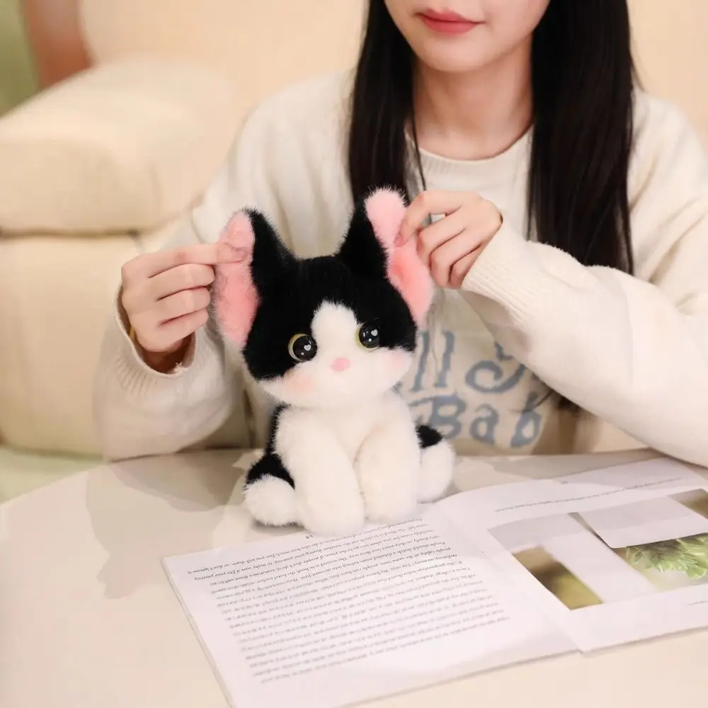 Peluche de gato siamés Devon Rex sentado como adorno de escritorio - imagen 3