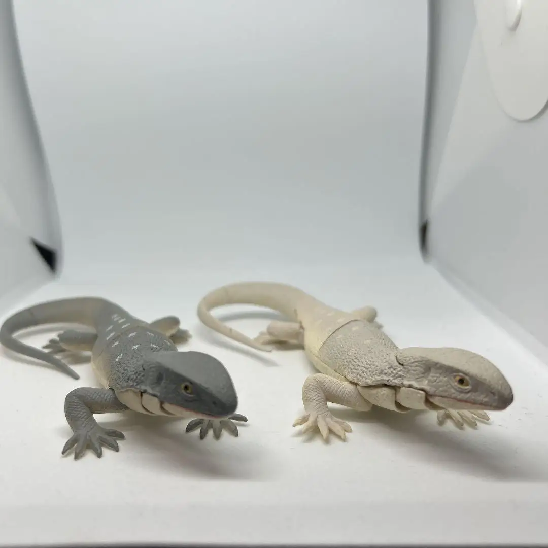 Lagarto Savannah Monitor en cápsula, parte 3