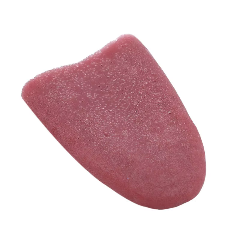 Piercing lengua falsa silicona – Accesorio disfraz infantil - imagen 3