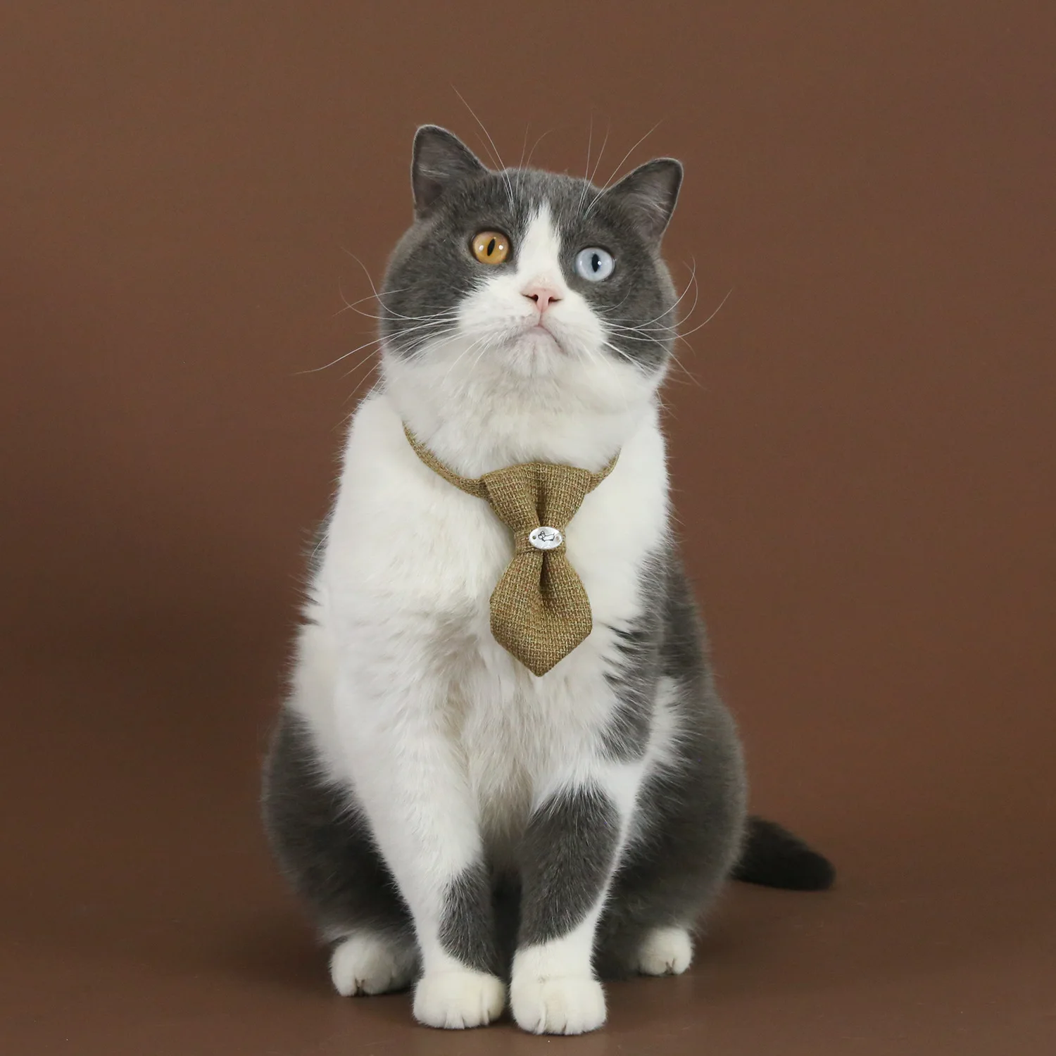 Collar de lino ajustable para perro y gato con pajarita transpirable - imagen 4
