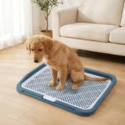 Bandeja de entrenamiento para perros malla desmontable antifugas