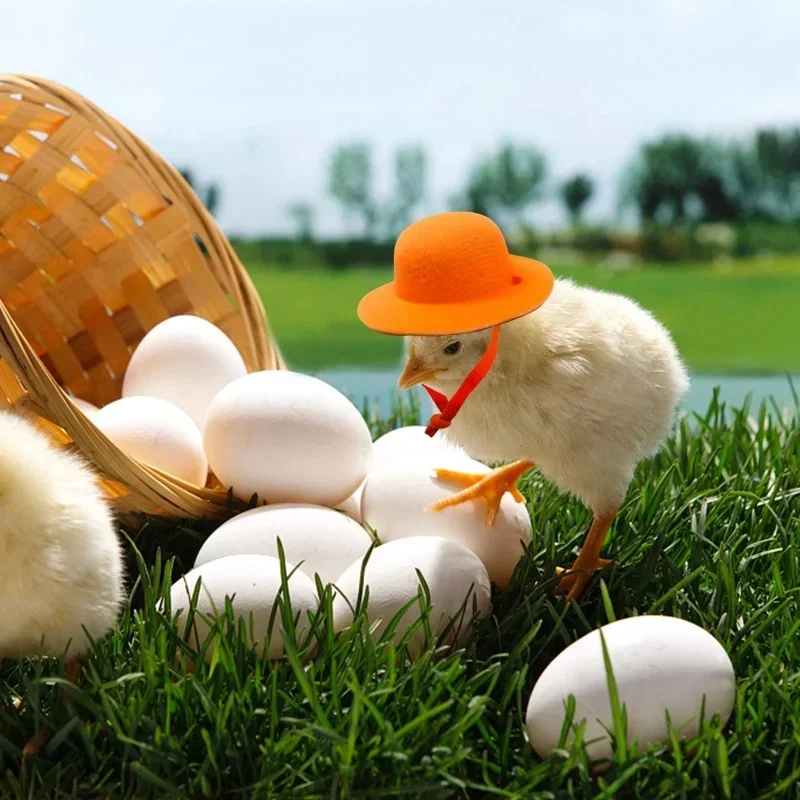 Sombrero de copa infantil pollo para disfraz, elegante - imagen 5