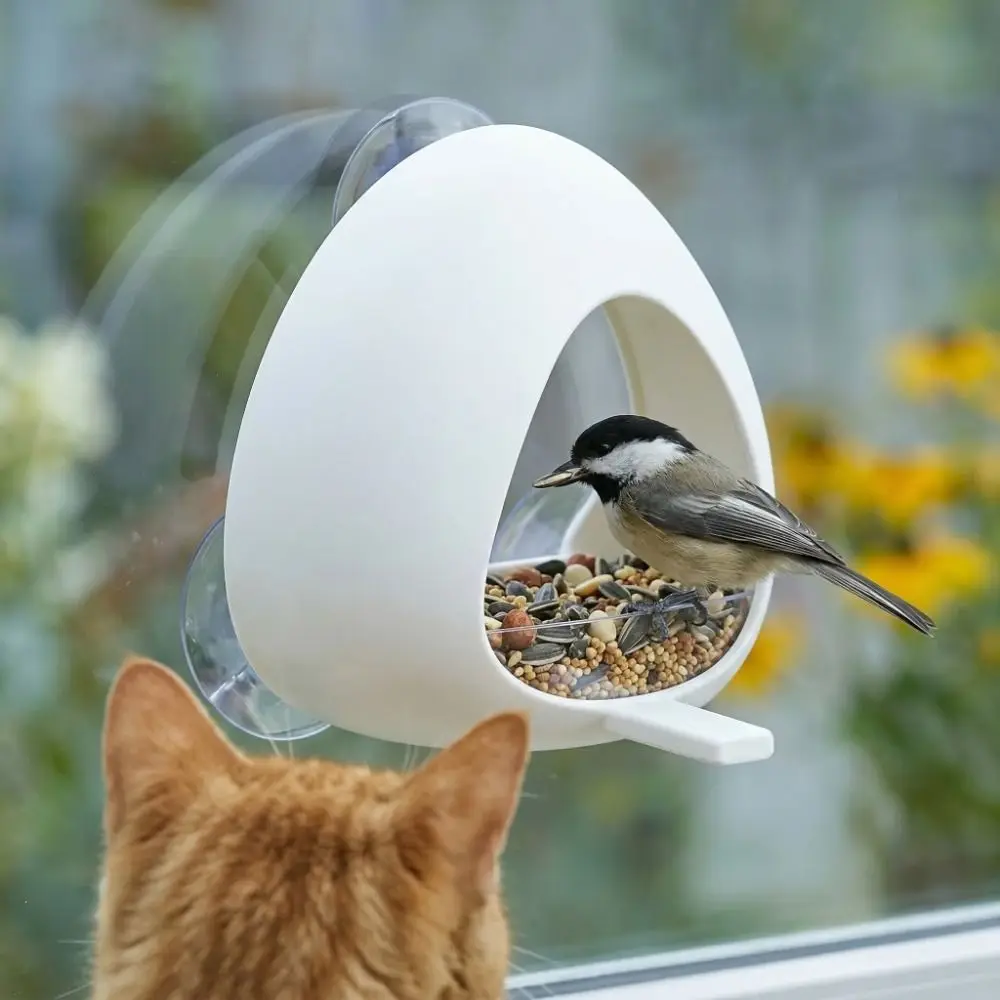 Vista del comedero instalado y orientado para observar aves