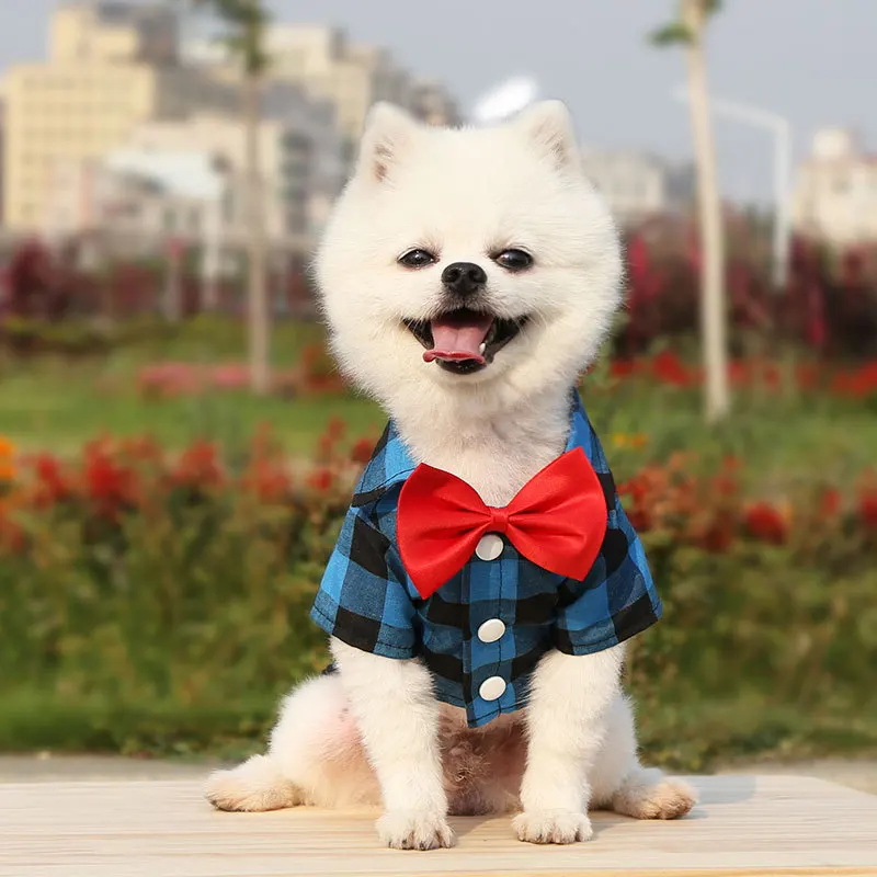 Camisa de cuadros para mascotas, traje nupcial elegante - imagen 3