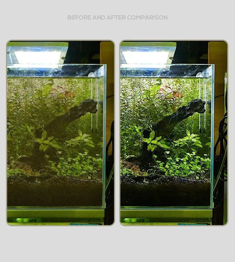 Accesorios para acuario y limpieza regular