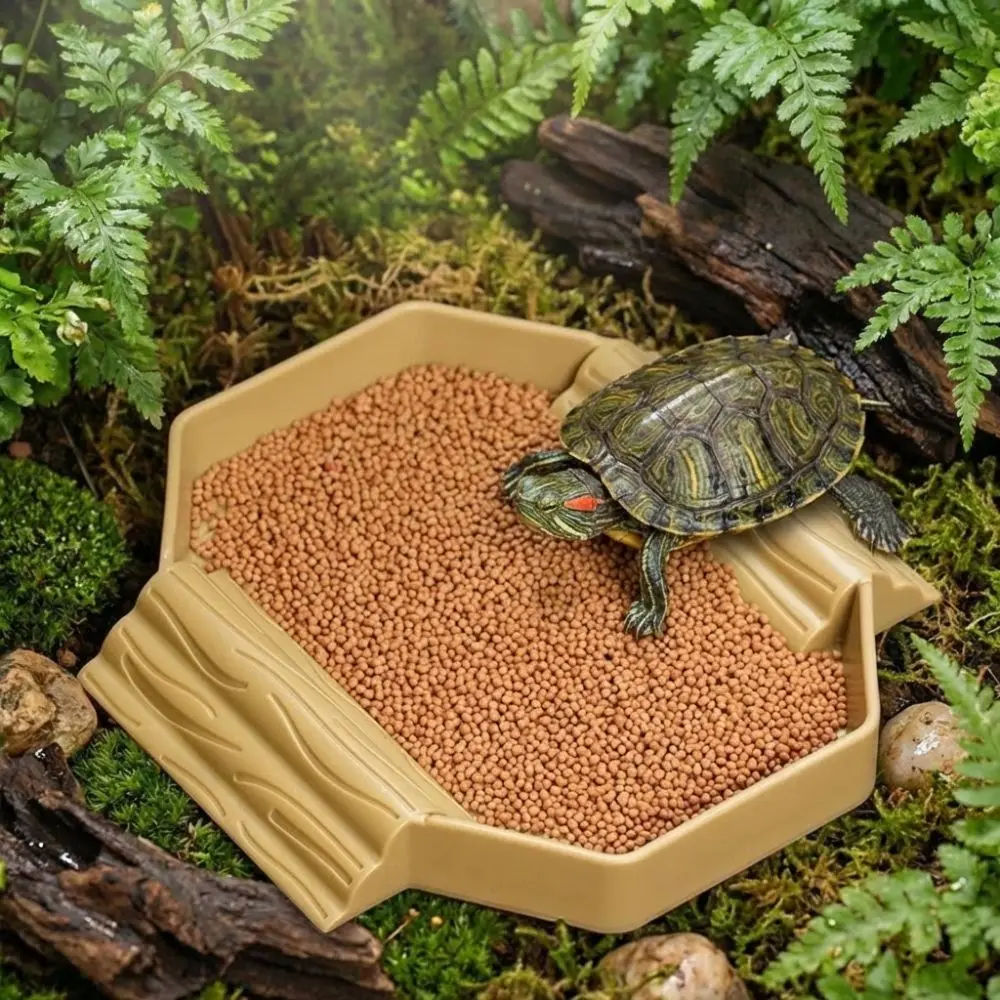 Plato de agua antideslizante para tortugas con rampa - imagen 2