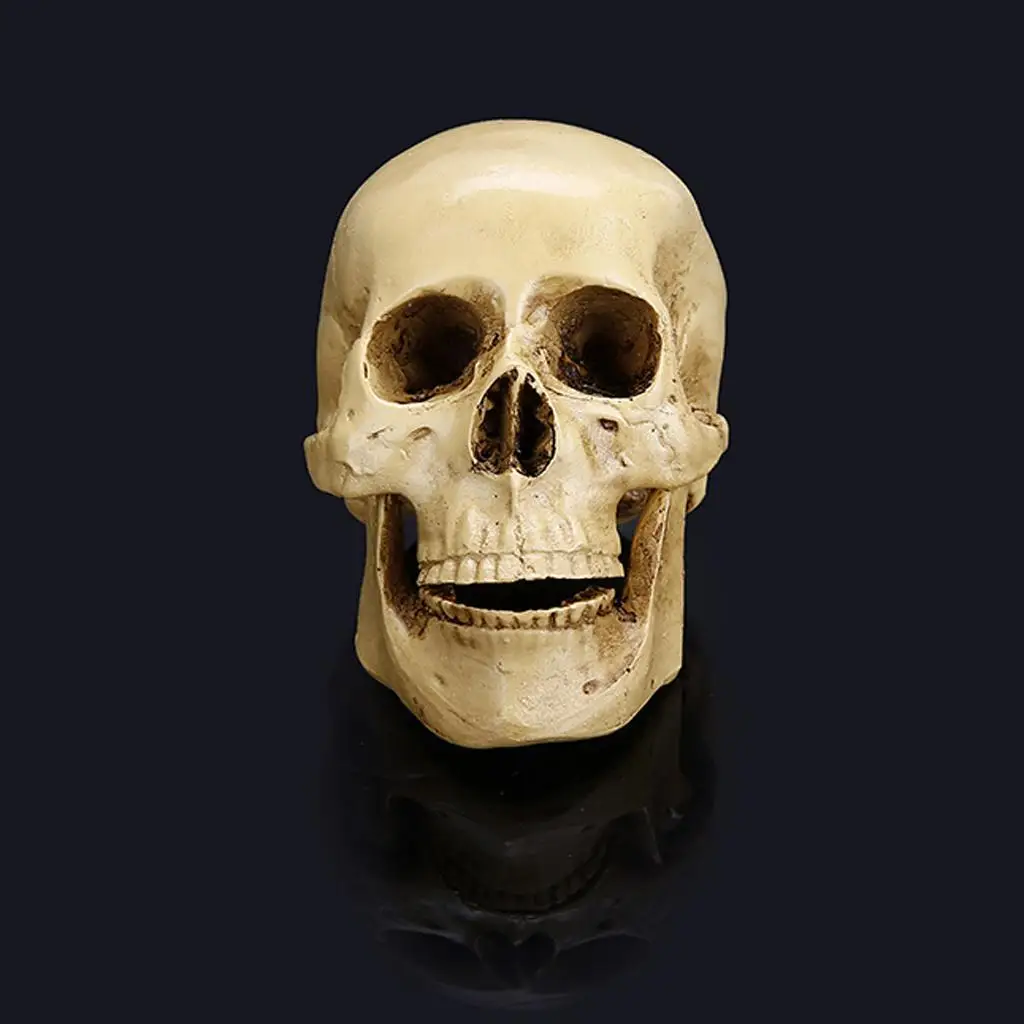 Estatua calavera gótica de resina tallada a mano para hogar - imagen 2