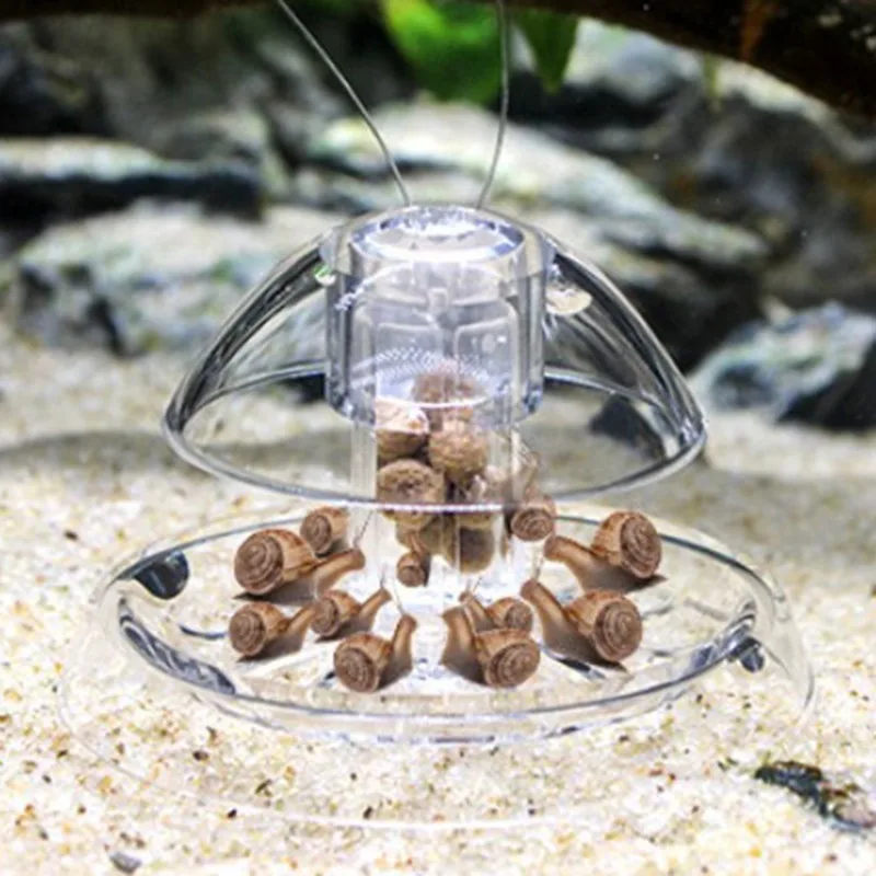Trampa para caracoles y planarias con caja fácil de limpiar - imagen 4