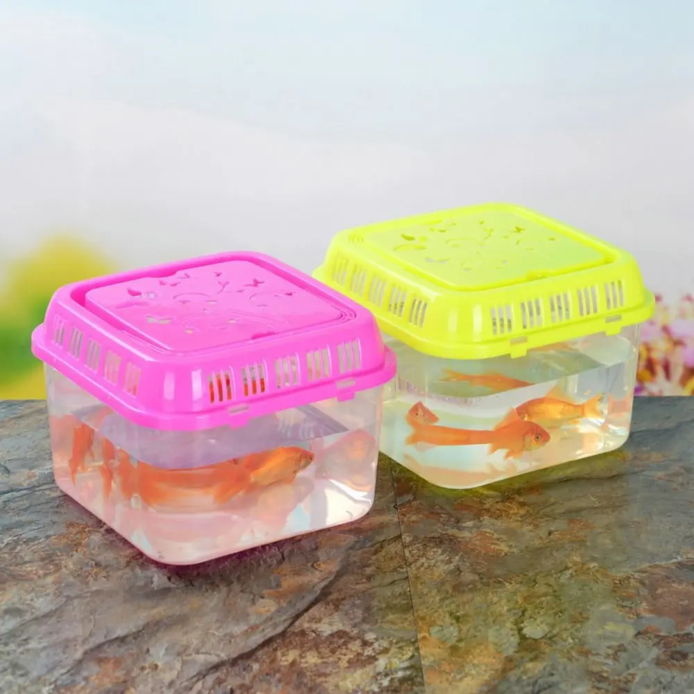 Pecera portátil para mascotas: mini terrario de plástico - imagen 5