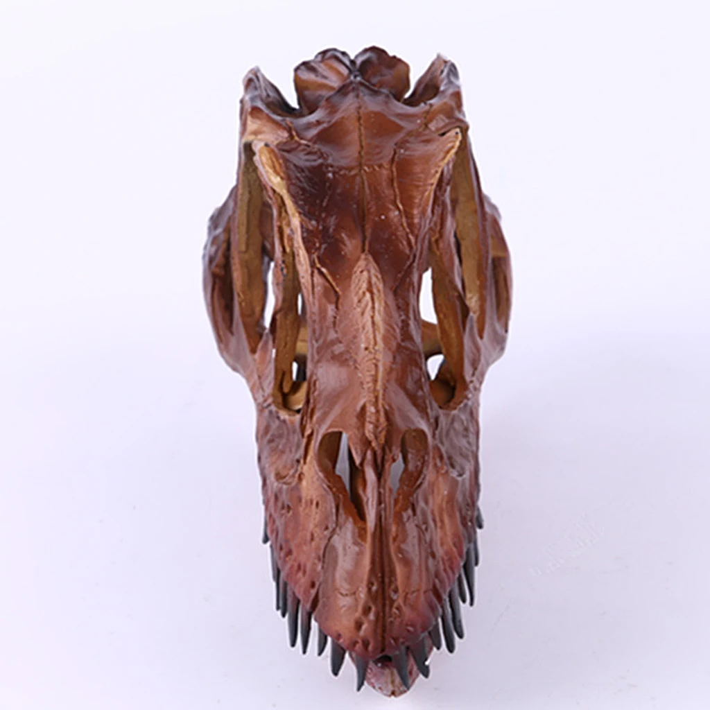 Calavera de dinosaurio en resina para decoración coleccionable - imagen 2