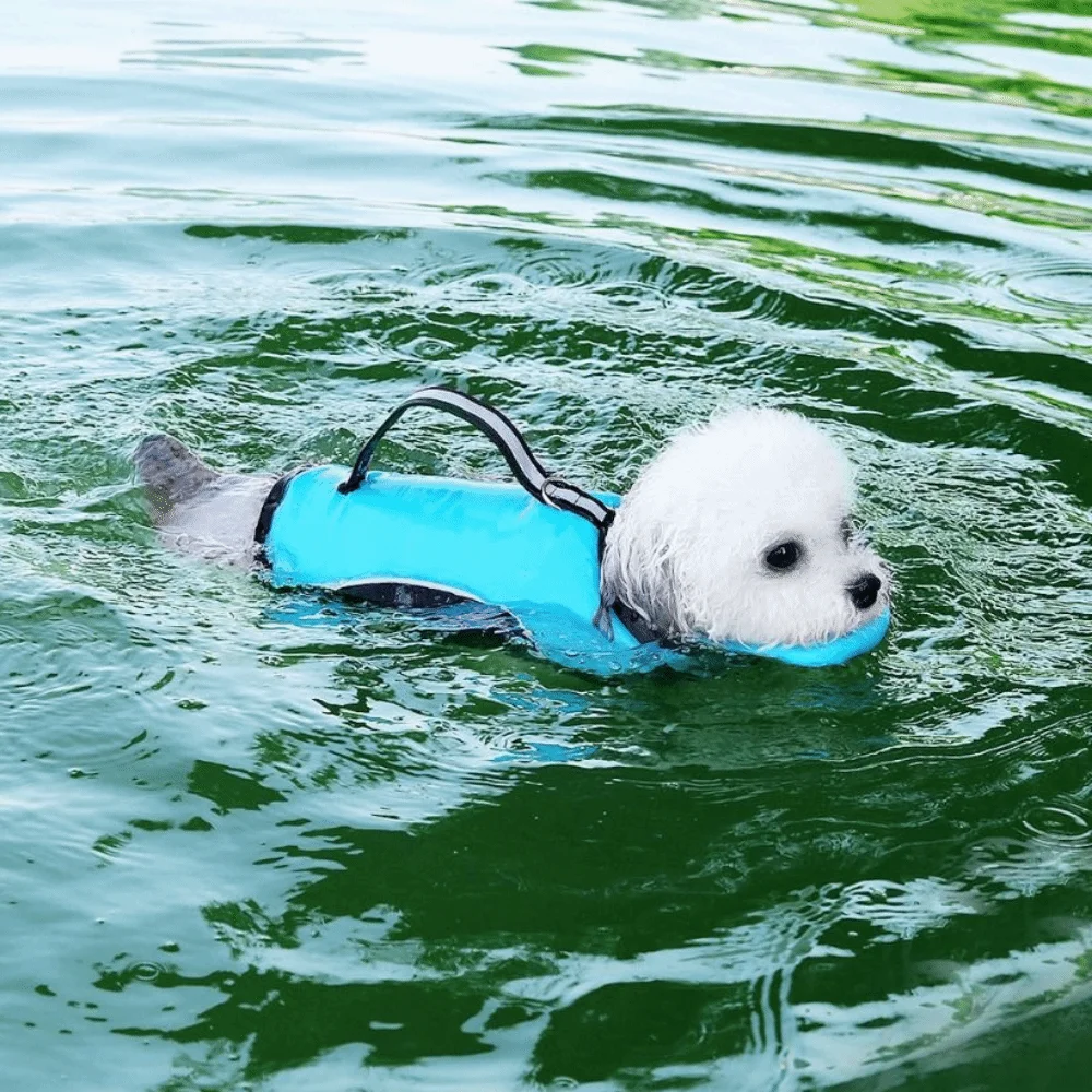 Chaleco salvavidas ajustable reflectante para perros de surf - imagen 4