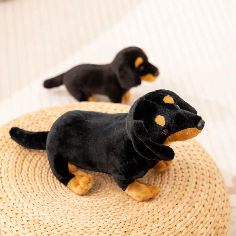 Vista del peluche dachshund
