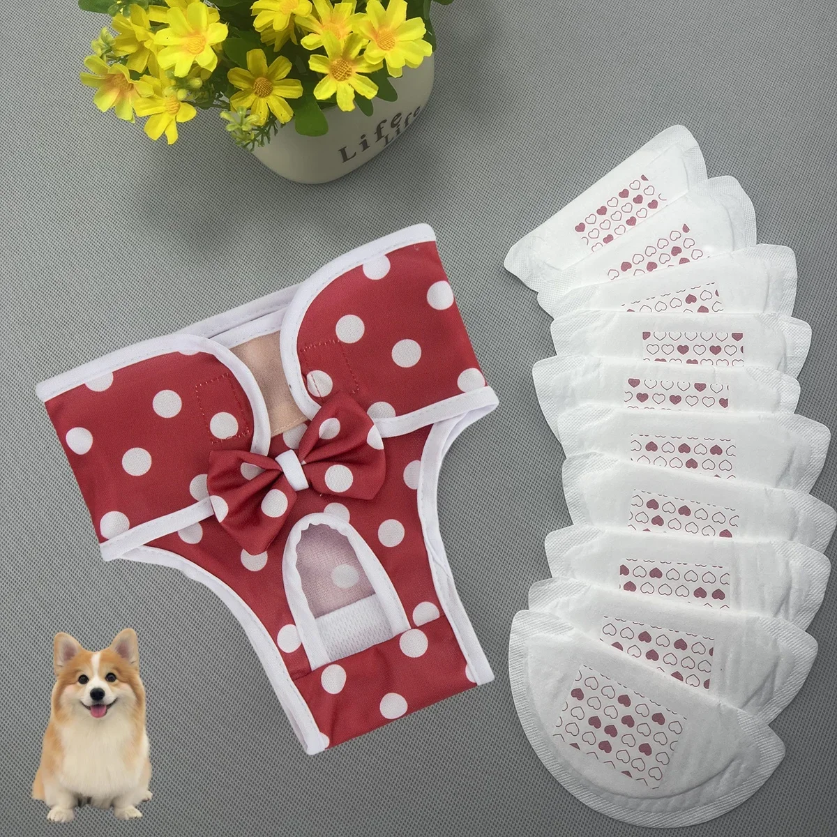 Pantalones fisiológicos lavables para perros – a prueba de fugas - imagen 5