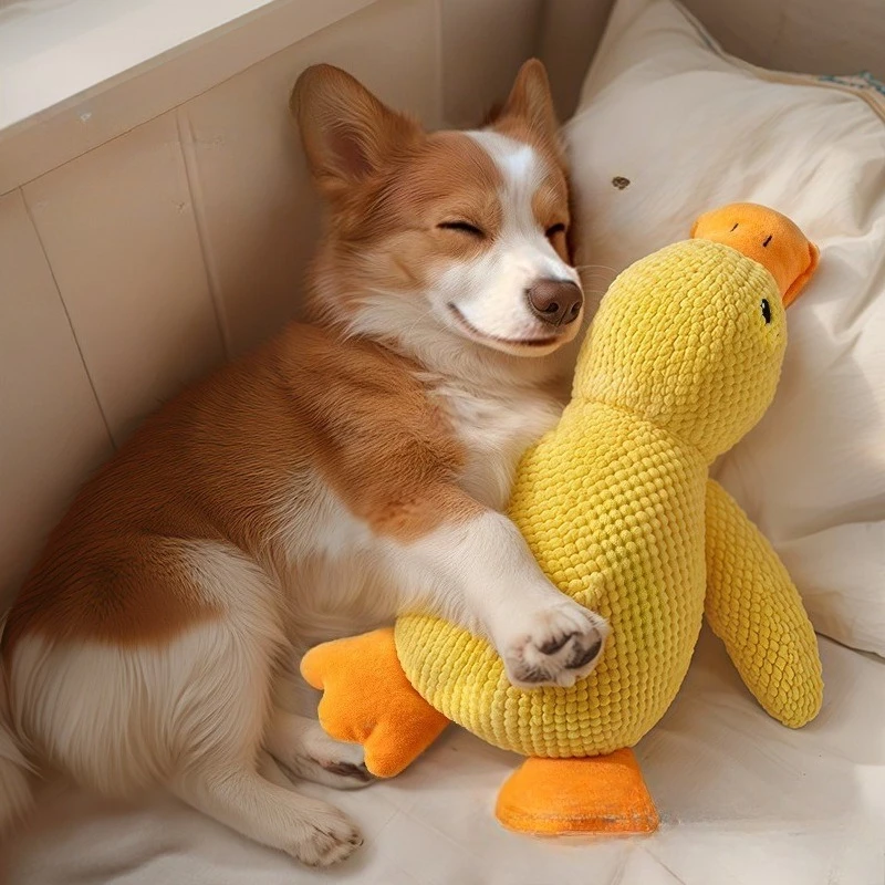 Juguete para perros de peluche con patito amarillo sonoro - imagen 5