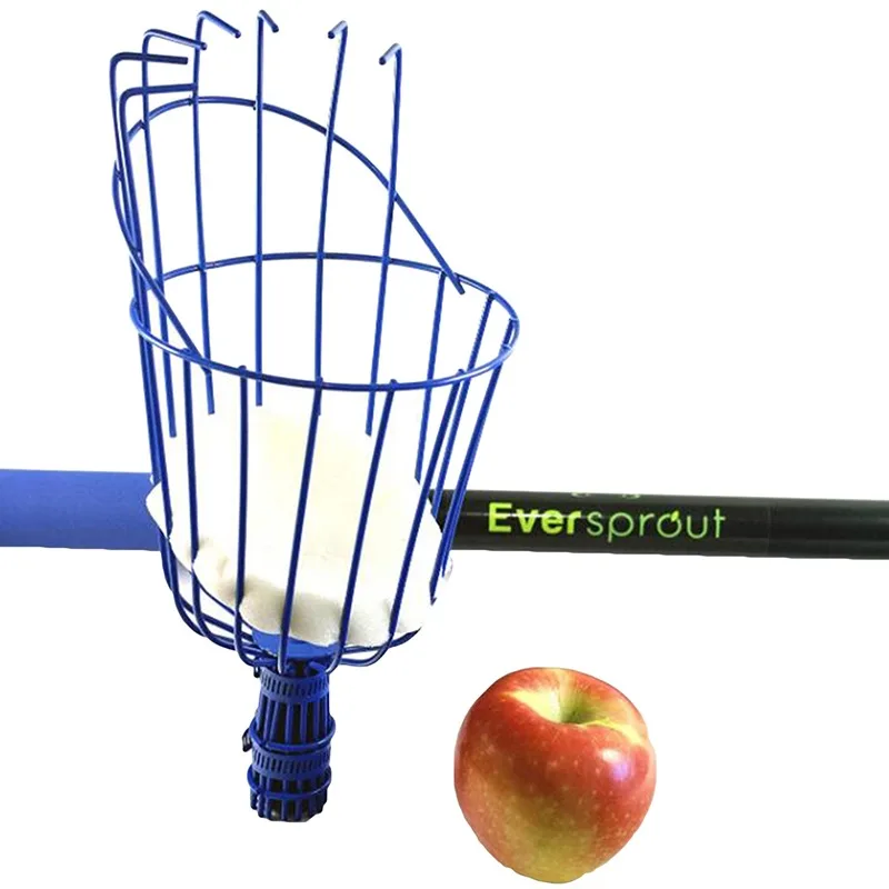 Recogedor de frutas resistente con cesta profunda para jardín – Acero inoxidable - imagen 5