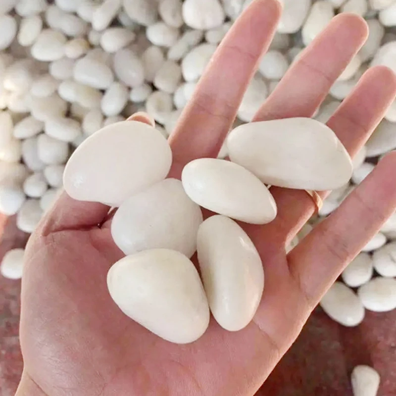 Piedras de río naturales pulidas para jarrones, acuario y jardín - imagen 3