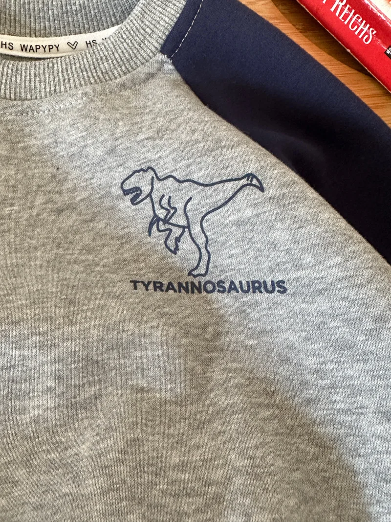 Milangel Conjunto niños: sudadera con capucha y pantalón de 1 a 7 años - imagen 5