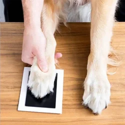 Kit de huellas con tinta segura para manos y patas de bebé