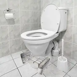 Taburete para inodoro ergonómico de plástico transparente en baño