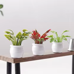 Mini bonsái en maceta realista para micro jardín