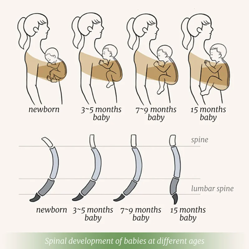 PANGDUBE Portabebés ergonómico de algodón – Para recién nacidos hasta 36 meses - imagen 3