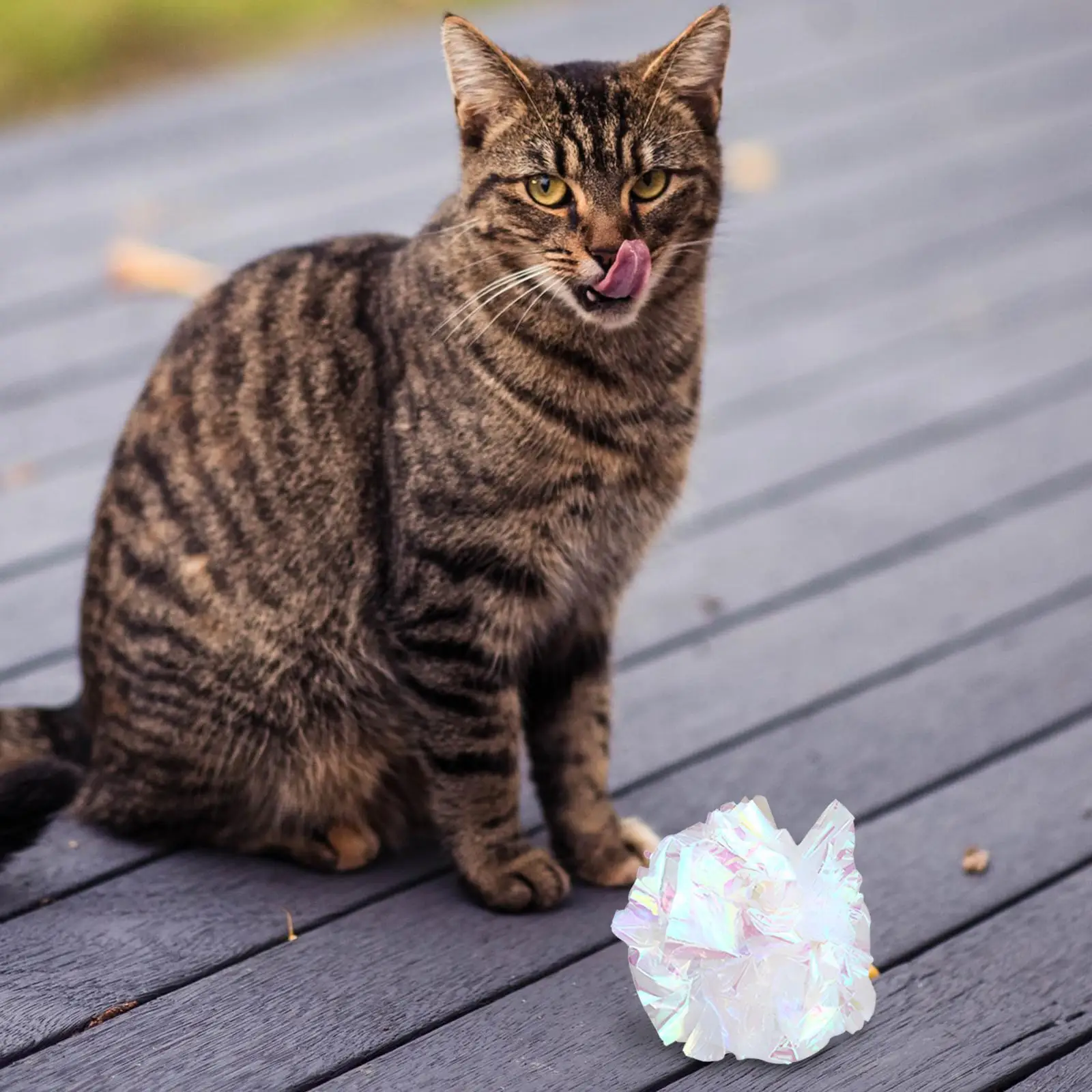 Pelota crujiente Mylar para gatos – Juguete de entrenamiento